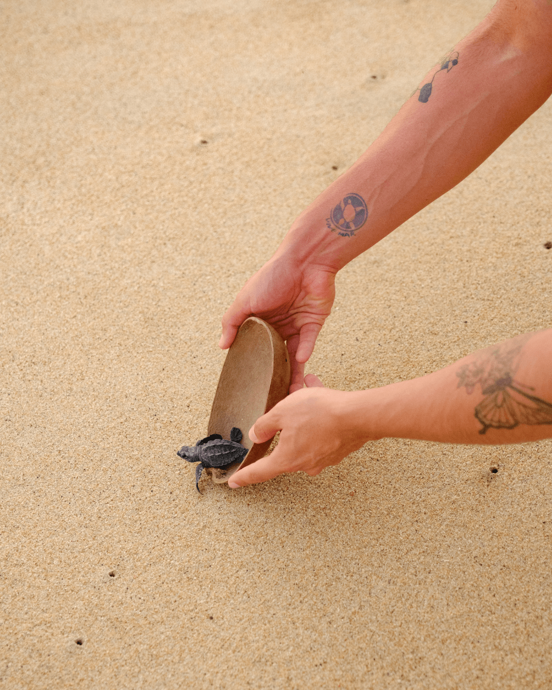 Experiencia en la playa